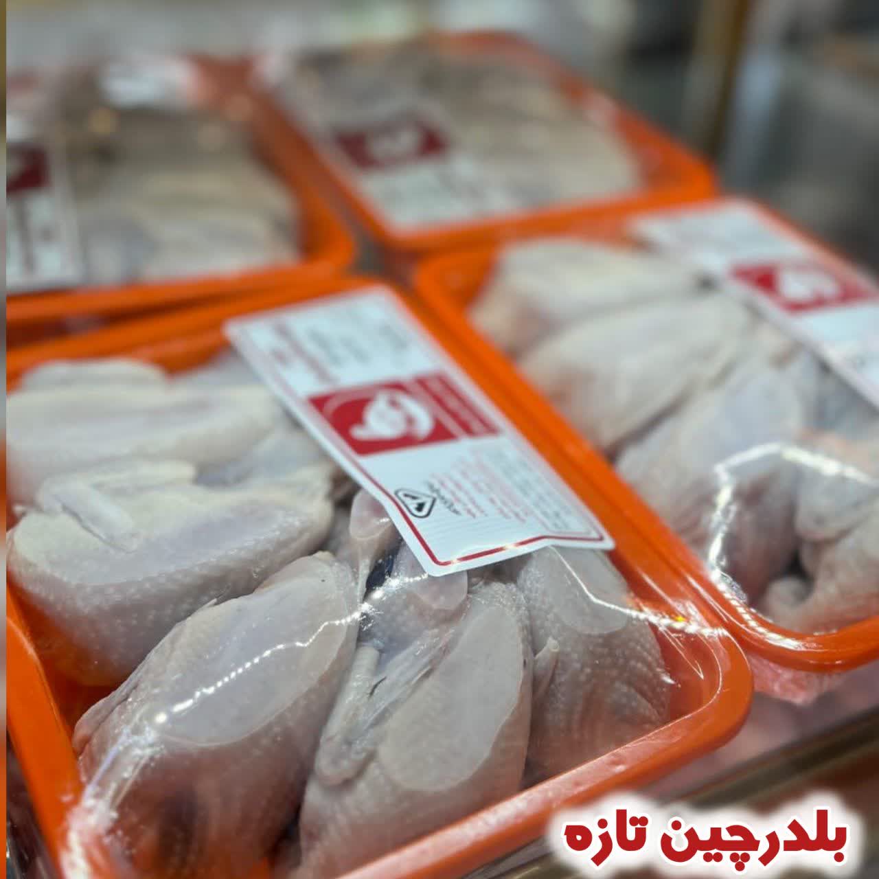 بلدرچین تازه